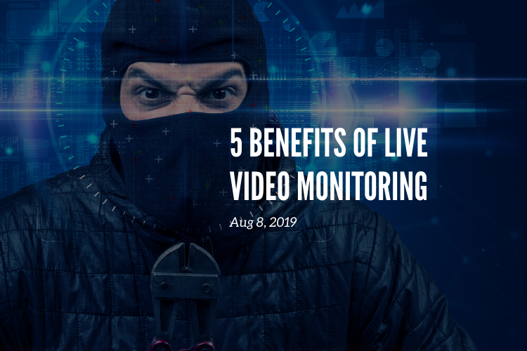 5 Benefits of Live Video Monitoring
